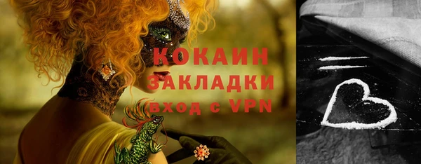 кокс Алексин