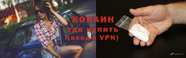 кокс Алексин