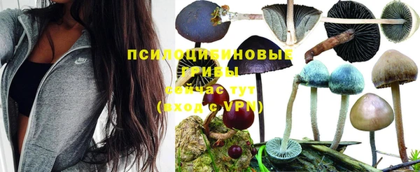 кокс Алексин