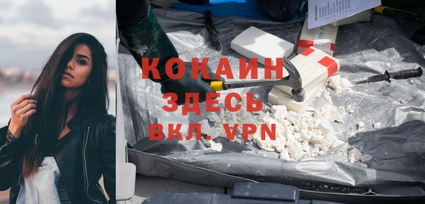 кокс Алексин
